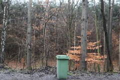 Śmieci w śląskich lasach 