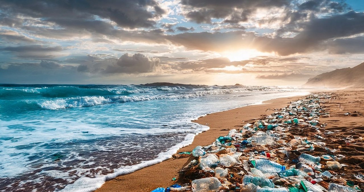 Śmieci wyrzucone na plażę przez fale oceanu /fotocanavera /123RF/PICSEL