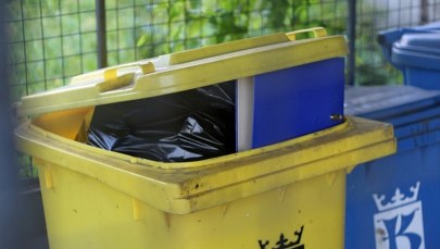 Śmieciowa biurokracja nas przerosła