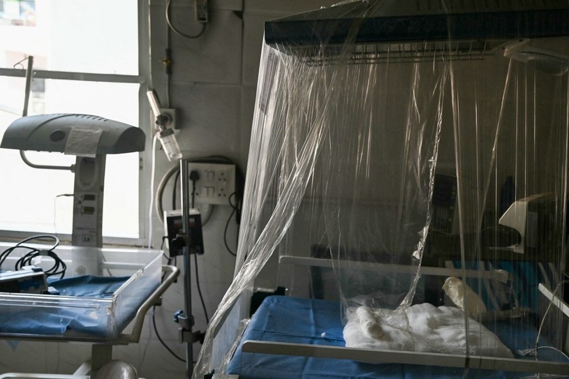 Śmierć 14-latka z powodu groźnego wirusa. WHO ostrzega