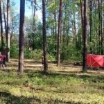 Śmierć 14-latki podczas konnej przejażdżki. Pracownik stadniny był nietrzeźwy?