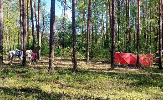 Śmierć 14-latki podczas konnej przejażdżki. Pracownik stadniny był nietrzeźwy?