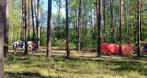 Śmierć 14-latki podczas konnej przejażdżki. Pracownik stadniny był nietrzeźwy?