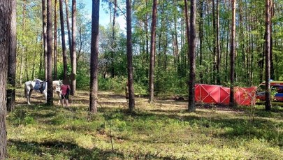 Śmierć 14-latki podczas konnej przejażdżki. Pracownik stadniny był nietrzeźwy?