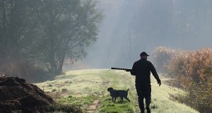 Śmierć na łąkach Milejowa: Myśliwemu grozi dożywocie