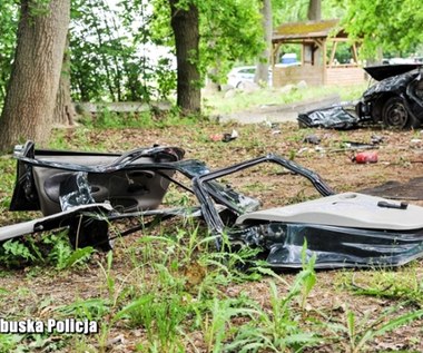 Śmierć trójki nastolatków. Wjechali fordem w drzewa