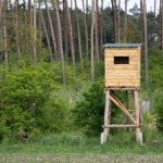 Śmiertelny postrzał po polowaniu. Sprawcy grozi do pięciu lat więzienia