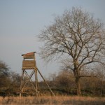 Śmiertelny wypadek na polowaniu. Jest zarzut zabójstwa