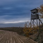 Śmiertelny wypadek na polowaniu. Sprawca został zatrzymany