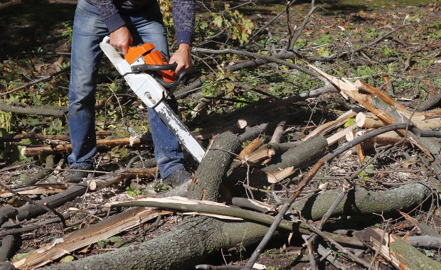 Śmiertelny wypadek przy wycince drzewa w Warmińsko-Mazurskiem