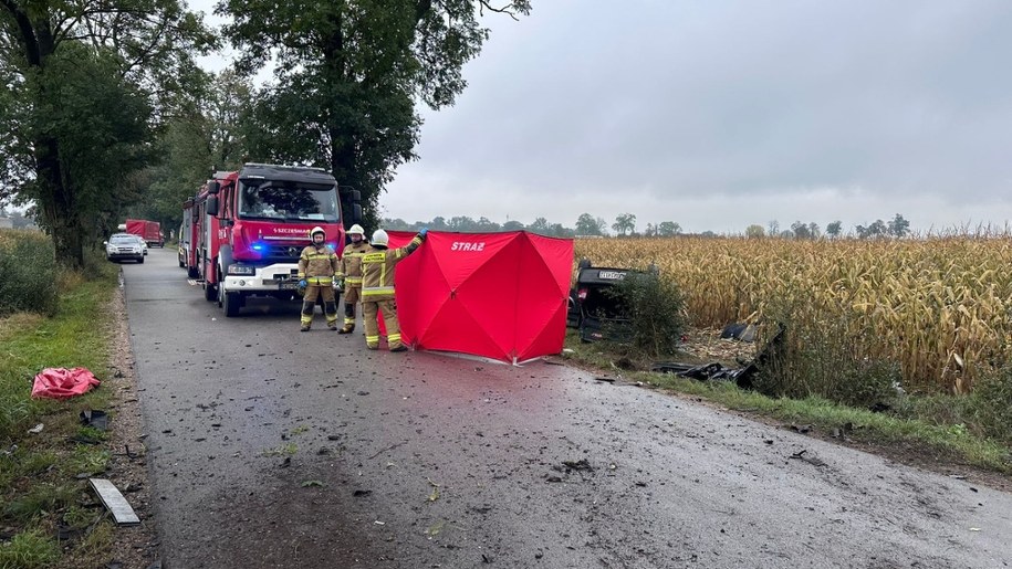Śmiertelny wypadek w Łaniętach /KP PSP Kutno /