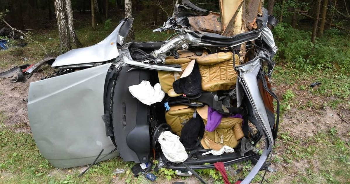 Śmiertelny wypadek w miejscowiści Borki na DK 19 /Informacja prasowa