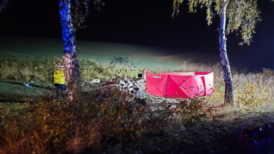 Śmiertelny wypadek w powiecie kartuskim /KP PSP Kartuzy /PAP