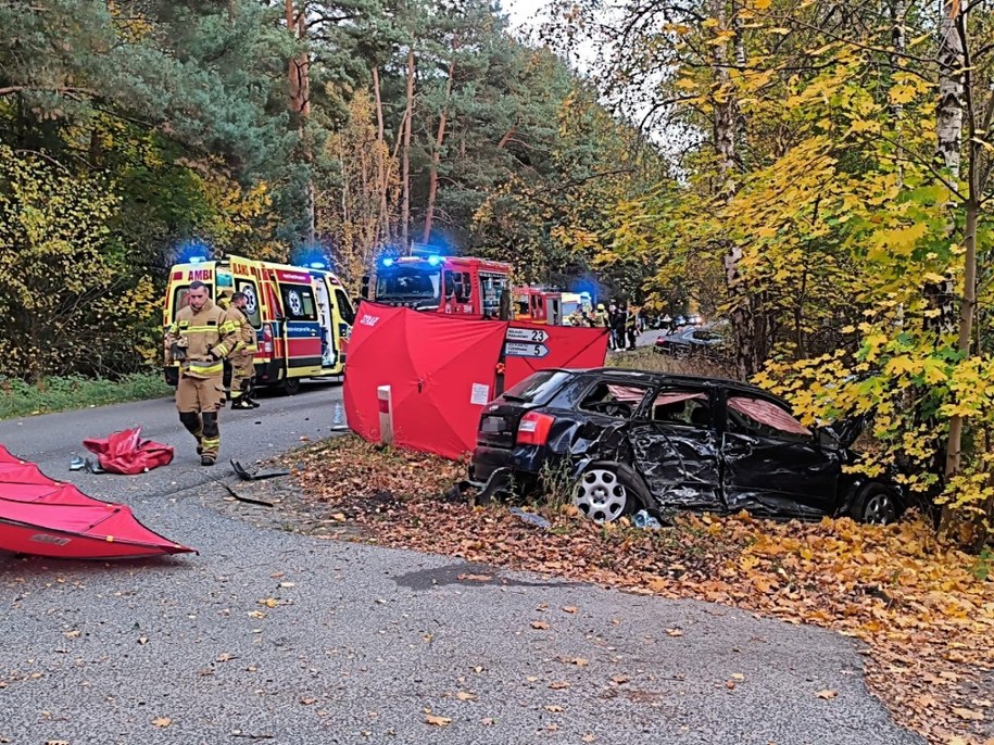 Śmiertelny wypadek w powiecie słubickim, 25.10.2025. Zdj. dzięki uprzejmości Słubice 112 /Słubice 112 /