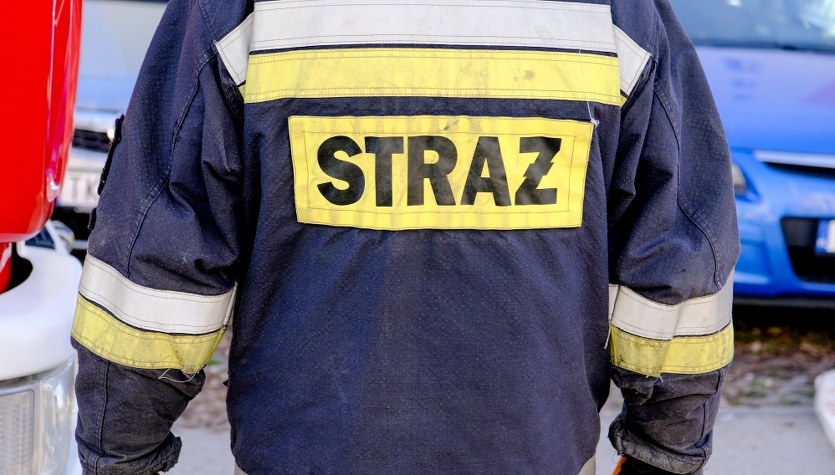 Śmiertelny wypadek w Świętokrzyskiem. Auto przygniecione przez drzewo 