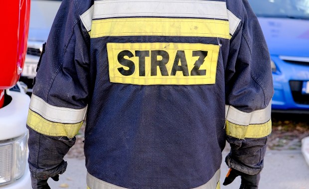 Śmiertelny wypadek w Świętokrzyskiem. Auto przygniecione przez drzewo 