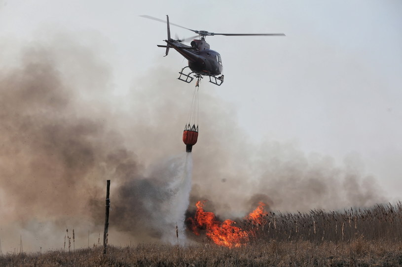 Śmigłowiec podczas akcji gaszenia pożaru w Biebrzańskim Parku Narodowym / 	Artur Reszko    /PAP