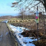 Śmigłowiec rozbił się w lesie: Śmierć natychmiastowa, obrażenia identyczne