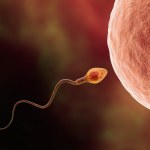 plemniki Smog może zmieniać DNA plemników. Odkryli niepokojący mechanizm