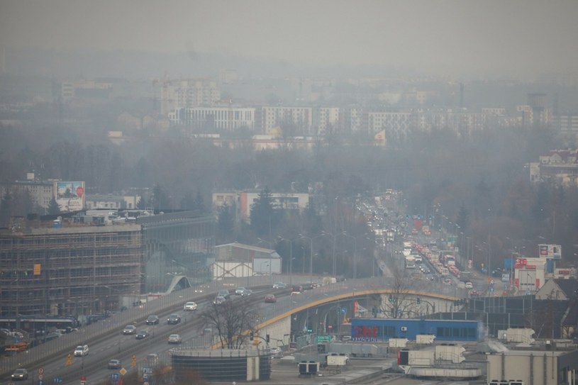 Smog na Krakowem oznacza darmową komunikację miejską /Beata Zawrzel /Reporter