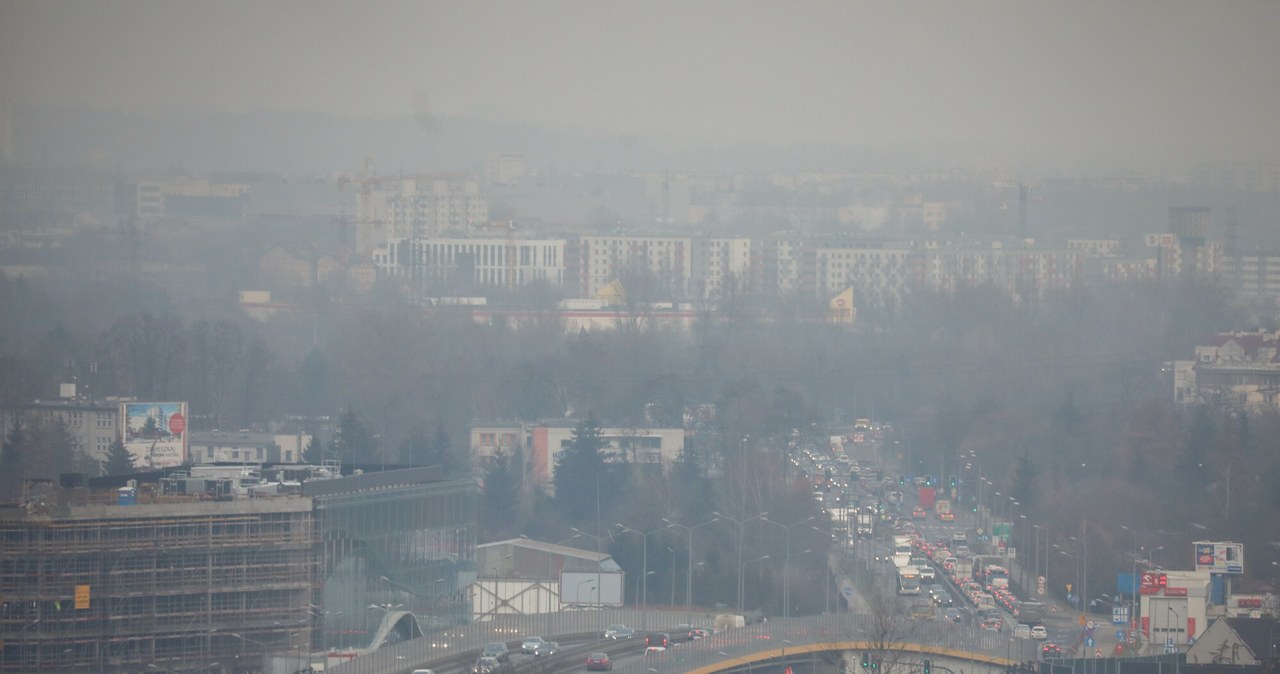 Smog na Krakowem oznacza darmową komunikację miejską /Beata Zawrzel /Reporter