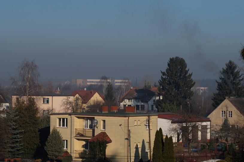 Smog nad budynkiem Uniwersytetu Adama Mickiewicza w Poznaniu /Jakub Kaczmarczyk /PAP
