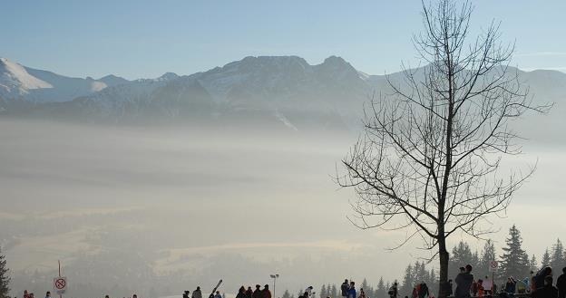 Smog nad Zakopanem. Fot. Adrian Gladecki /Reporter