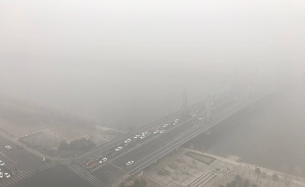 Smog nas ogłupia