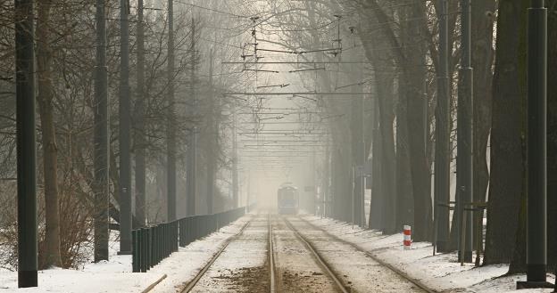 Smog przy Parku Jordana (L) i Błoniach (P) w Krakowie /PAP