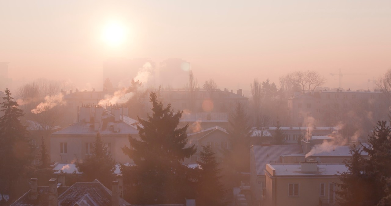Smog spowija polskie miasta /123RF/PICSEL