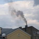 Smog uszkadza plemniki. Chińskie badanie pokazuje, że brudne powietrze niszczy płodność mężczyzn