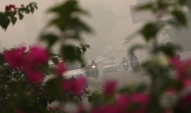 Smog w Delhi /HARISH TYAGI   /PAP/EPA