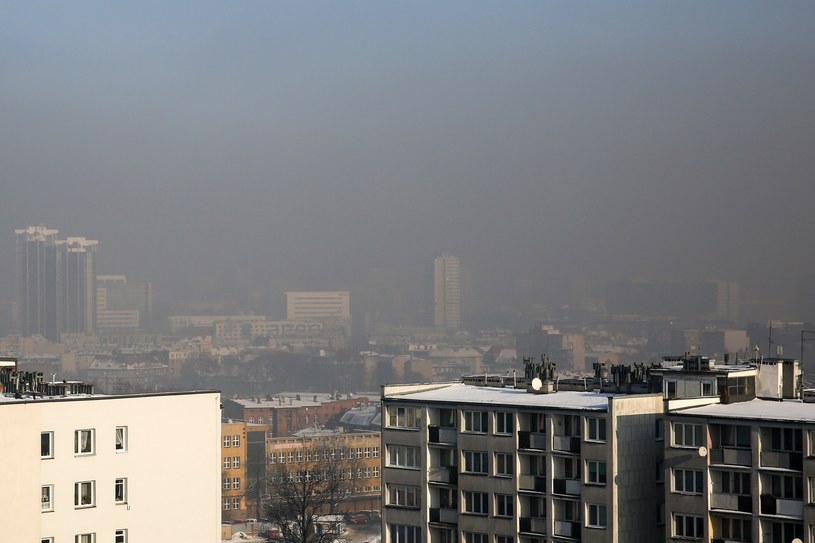 Smog w Katowicach. Wymyślony przez media i świat biznesu /Tomasz Kawka /East News