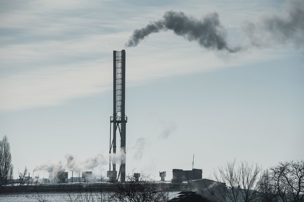 Smog znowu daje się we znaki /Wojciech Pacewicz /PAP