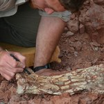 „Smok Śmierci”. Naukowcy odkryli nowy gatunek pterozaura