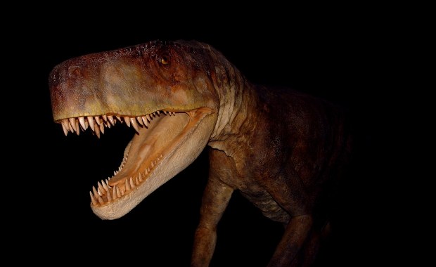 Smok wawelski, drapieżca z epoki triasu, gryzł kości