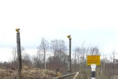 Smoleńsk rok po tragedii