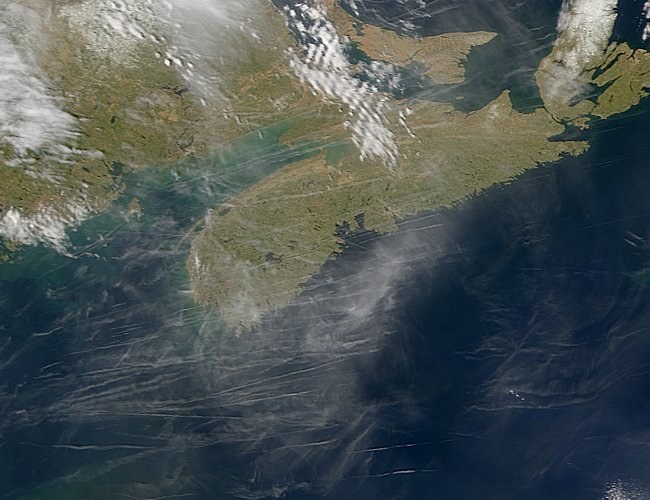 Smugi kondensacyjne widziane nad Nową Szkocją i Oceanem Atlantyckim /Wikimedia Commons /INTERIA.PL/materiały prasowe