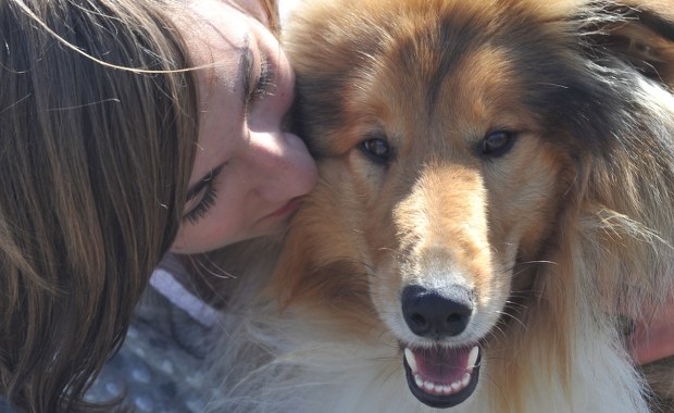 Smutny? Pies pospieszy cię pocieszyć...