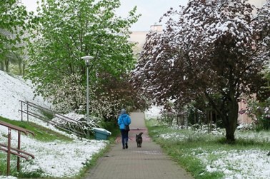 Śnieg, deszcz i znaczne ochłodzenie. Zimowy poranek w wielu miejscach Polski [WASZE ZDJĘCIA]