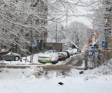 Śnieg, gołoledź i błoto na polskich drogach - zima wróciła na wschód kraju