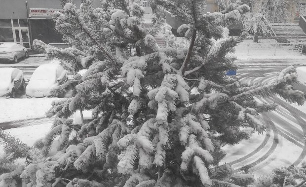 Śnieg i deszcz. Prognoza pogody na sobotę