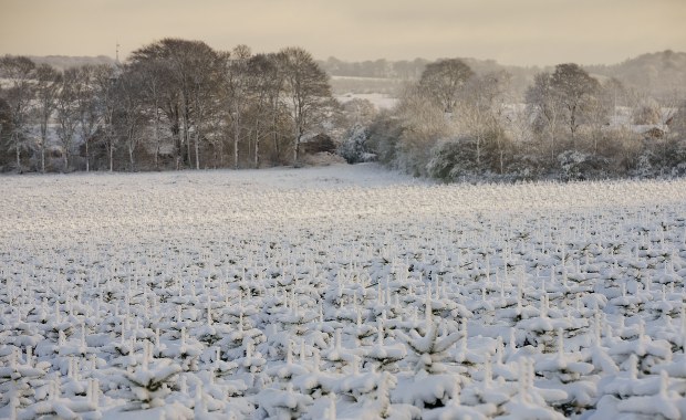 Śnieg i śnieg z deszczem. Synoptycy ostrzegają: Będzie ślisko 