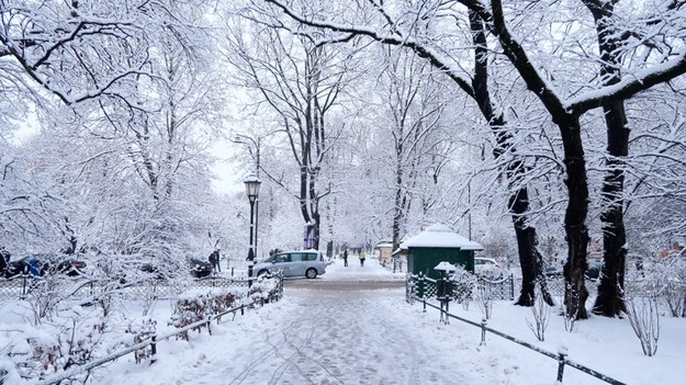 Śnieg na Plantach w Krakowie - zdjęcie poglądowe /Shutterstock