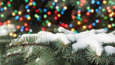 Śnieg na święta? Sprawdź, co mówi synoptyk