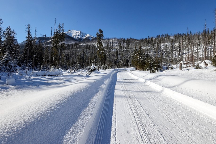 Śnieg na szlaku do Morskiego Oka pomiędzy Palenicą Białczańską a Wodogrzmotami Mickiewicza /Grzegorz Momot /PAP