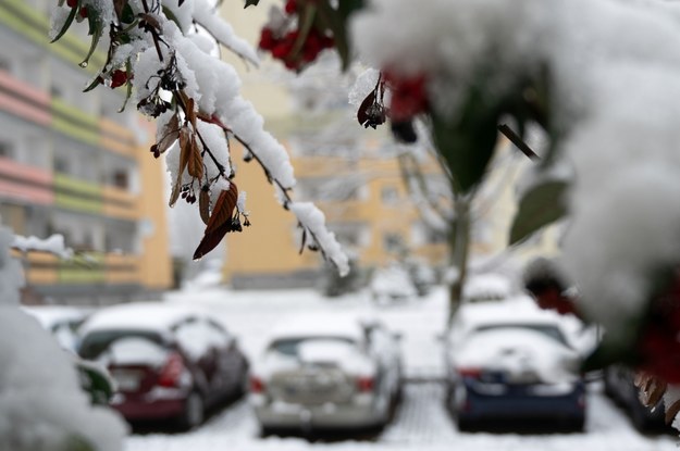 Śnieg spadł dziś również w Łodzi! /	Grzegorz Michałowski   /PAP