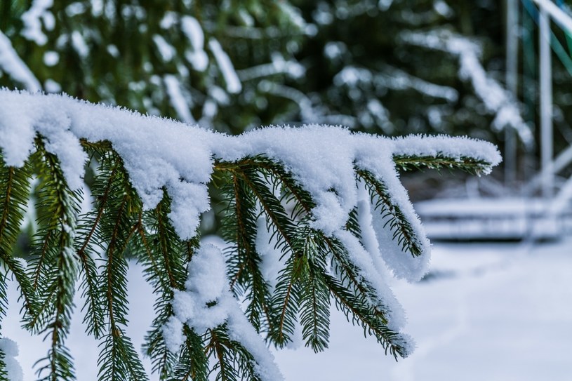 Śnieg także jest potrzebny przyrodzie /123RF/PICSEL