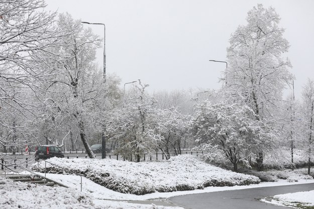 Śnieg w Parku Skaryszewskim w Warszawie /Paweł Supernak /PAP