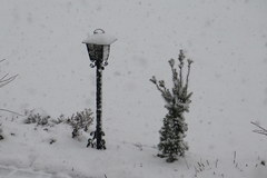 Śnieg w Zakopanem!